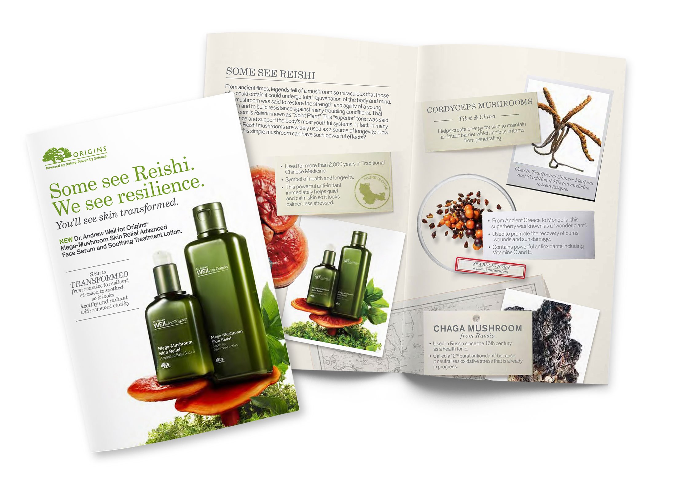 A brochure and pamphlet for skincare products featuring Reishi mushroom. The brochure highlights Reishi's resilience and skin transformation benefits, showing bottles of the Dr. Andrew Weil for Origins Mega-Mushroom Skin Relief Advanced Face Serum an